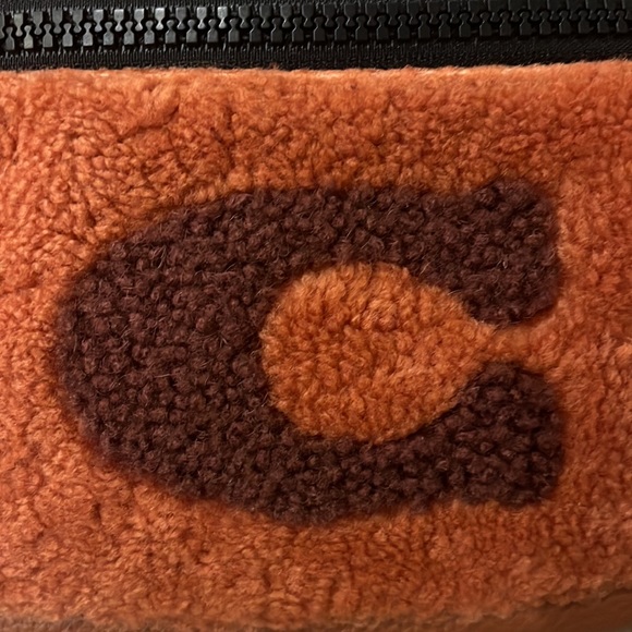 ✨NWT💥 Coach Warren Blt Bag Shear QB/Ginger - Picture 2 of 11